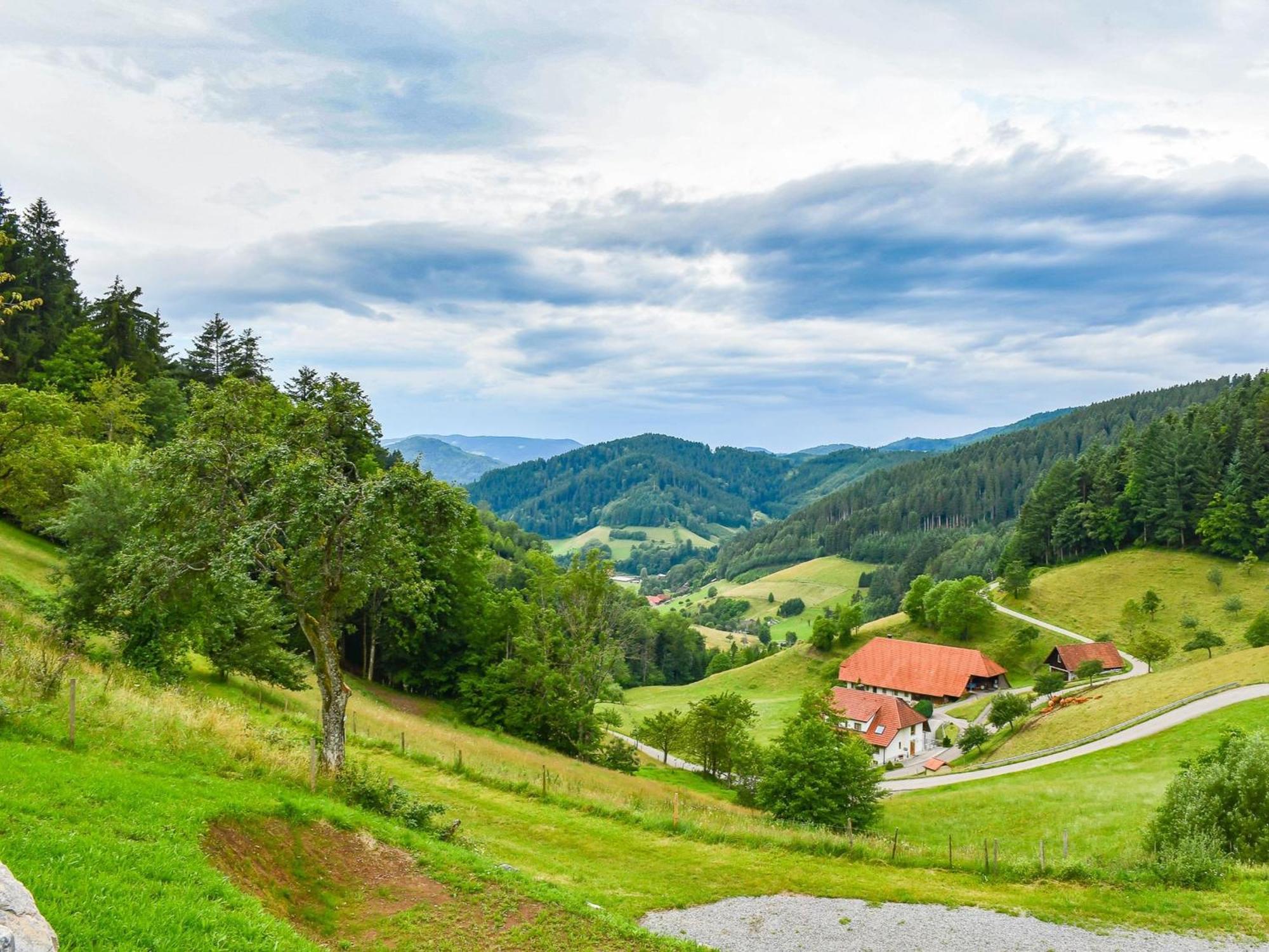 Ferienhaus Wendelinus Mit Pool & Sauna 하우사크 외부 사진